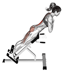 45 degree hyperextension demonstration