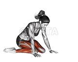 Hero Pose Virasana demonstration