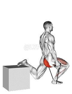 Band single leg split squat demonstration