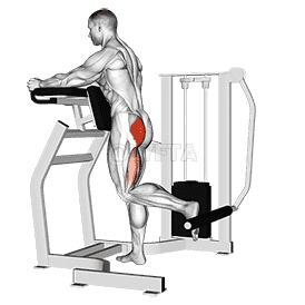 Lever Standing Hip Extension demonstration