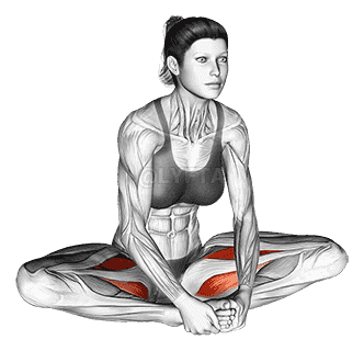 Seated Groin Stretch demonstration