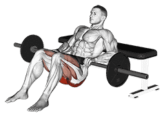 Hip Thrust demonstration