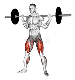 Barbell sumo squat demonstration