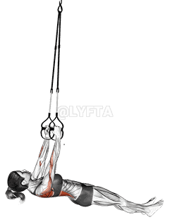 Suspension Inverted Row demonstration