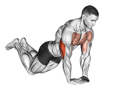 Diamond Push-up demonstration