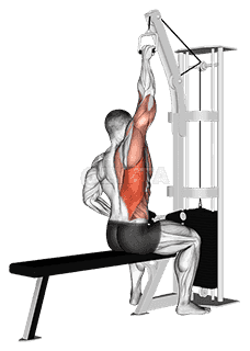 Cable one arm lat pulldown demonstration