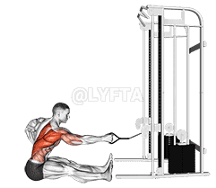 Cable one arm twisting seated row demonstration