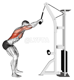 Cable Standing Lat Pushdown demonstration