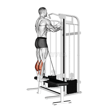 Standing Calf Raise demonstration