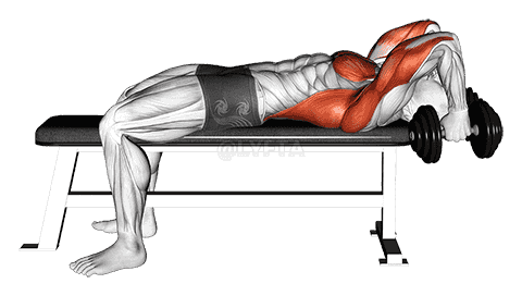 Dumbbell Bent Arm Pullover Hold Isometric demonstration