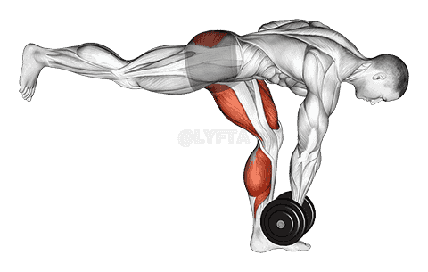 Dumbbell RDL Stretch Isometric demonstration