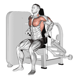 Lever Seated Dip demonstration