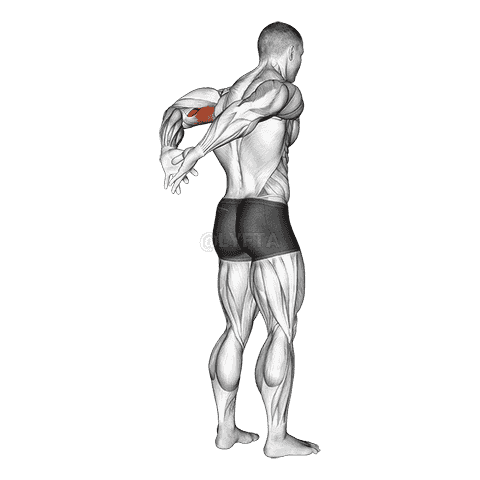 Biceps Stretch Behind The Back demonstration