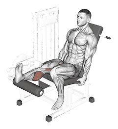 Lever Seated One Leg Curl demonstration