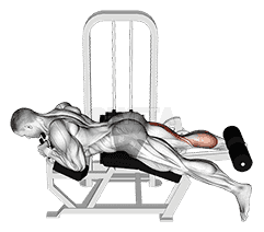 Lever Lying Single Leg Curl demonstration