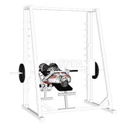 Smith Machine Decline Close Grip Bench Press demonstration