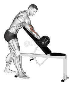 Dumbbell One Arm Zottman Preacher Curl demonstration