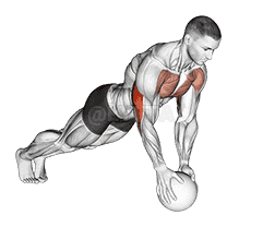 Medicine Ball Close Grip Push Up demonstration