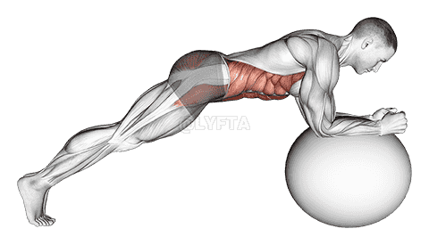 Stability Ball Front Plank demonstration