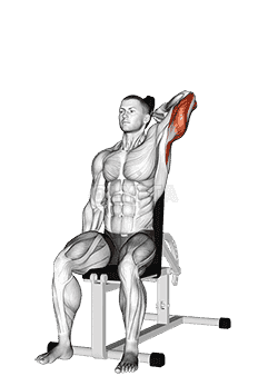 Dumbbell Seated Reverse Grip One Arm Overhead Tricep Extension demonstration