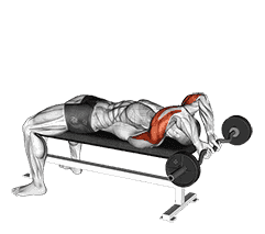 EZ Bar Lying Close Grip Triceps Extension Behind Head demonstration