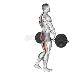 Barbell Single Leg Deadlift demonstration