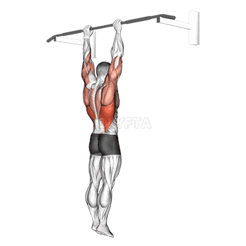 Shoulder Grip Pull-up demonstration