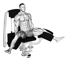 Lever Seated Hip Adduction demonstration