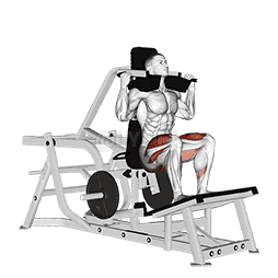 Lever Squat demonstration