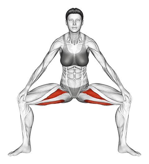 Standing Wide Knees Adductor Stretch demonstration