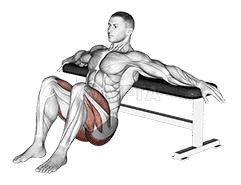 Hip Thrusts demonstration