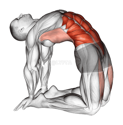 Hip Extension On Knees demonstration