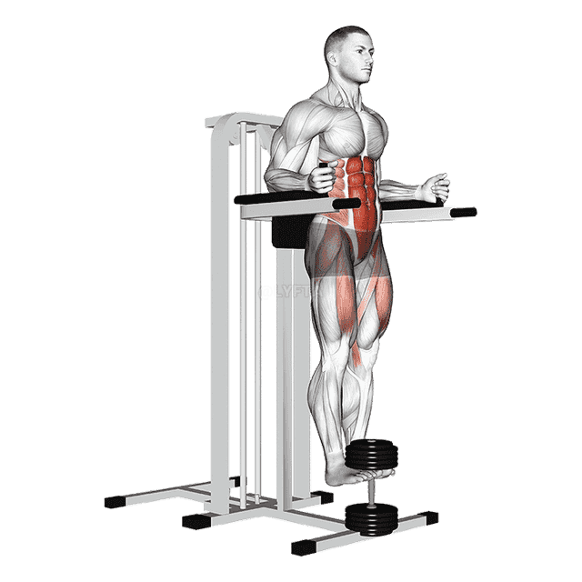 Weighted Captains Chair Leg Raise demonstration