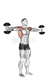 Dumbbell Standing Around World demonstration