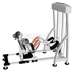 Lever Hip Thrust demonstration