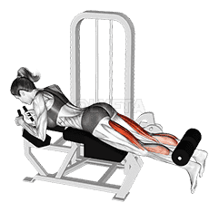 Lever Lying Leg Curl demonstration