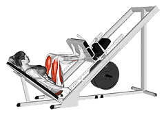 Sled 45 degrees Leg Press demonstration