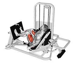 Lever Seated Leg Press demonstration