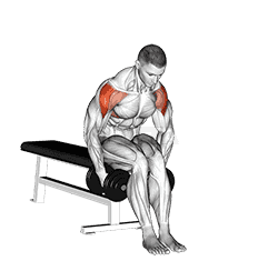 Dumbbell Seated Bent Arm Lateral raise demonstration