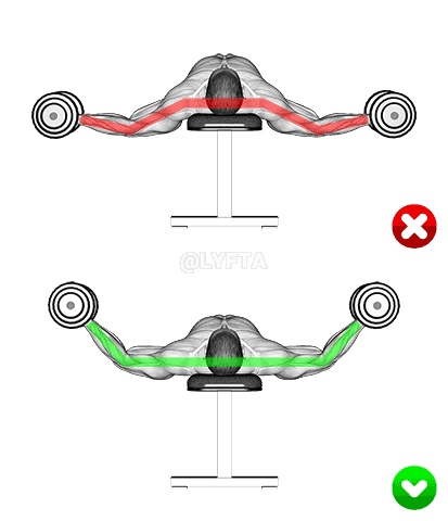 Chest Fly - Arms demonstration