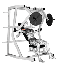 Lever Decline Chest Press demonstration