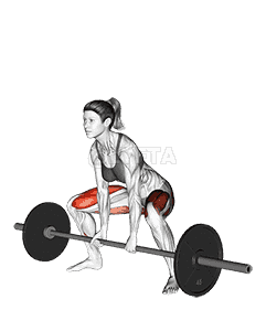 Barbell Sumo Deadlift demonstration