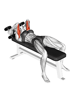 Dumbbell Lying Triceps Extension demonstration