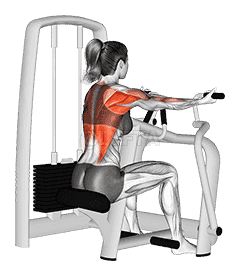 Lever Reverse Grip Vertical Row demonstration