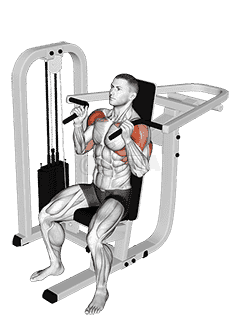 Lever Seated Hammer grip Shoulder Press demonstration