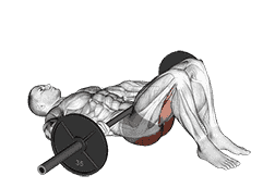 Barbell Glute Bridge demonstration