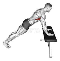 Incline Scapula Push up demonstration