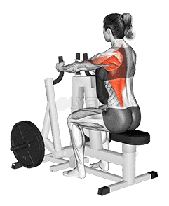 Lever Alternating Narrow Grip Seated Row demonstration