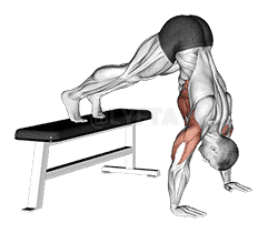 Pike Push up demonstration