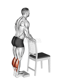 Calf Raise from Deficit with Chair Supported demonstration